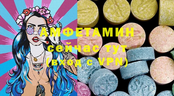 индика Новозыбков