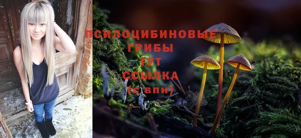 кокс Алексеевка